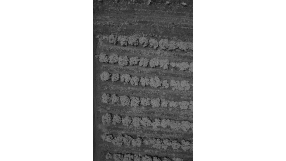 Agrowing Multi-Spectral Evaluation Package, Black, QX1EVL25