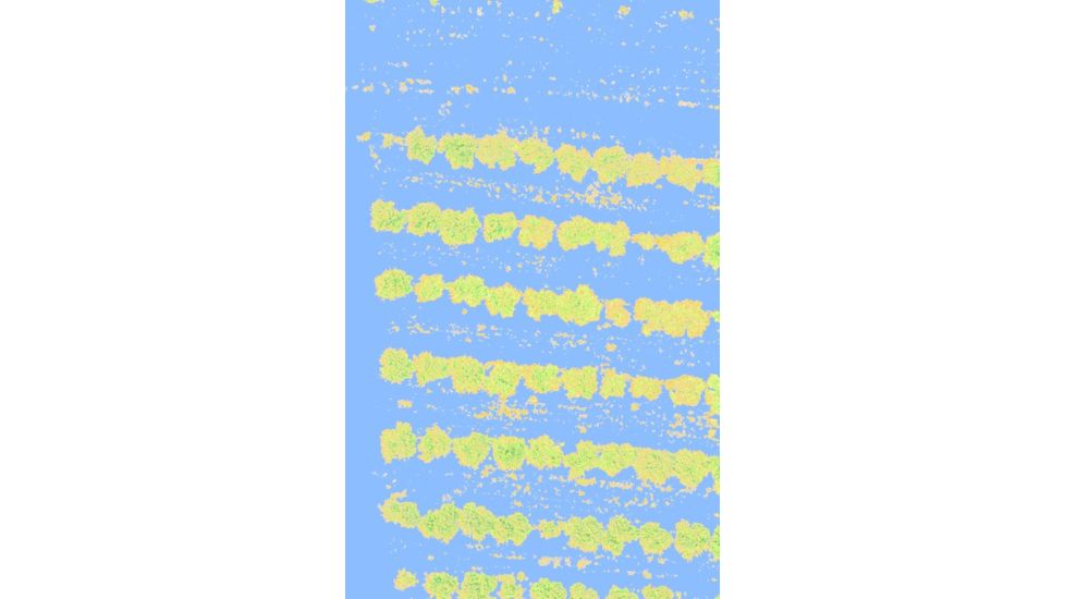 Agrowing Multi-Spectral Evaluation Package, Black, QX1EVL25