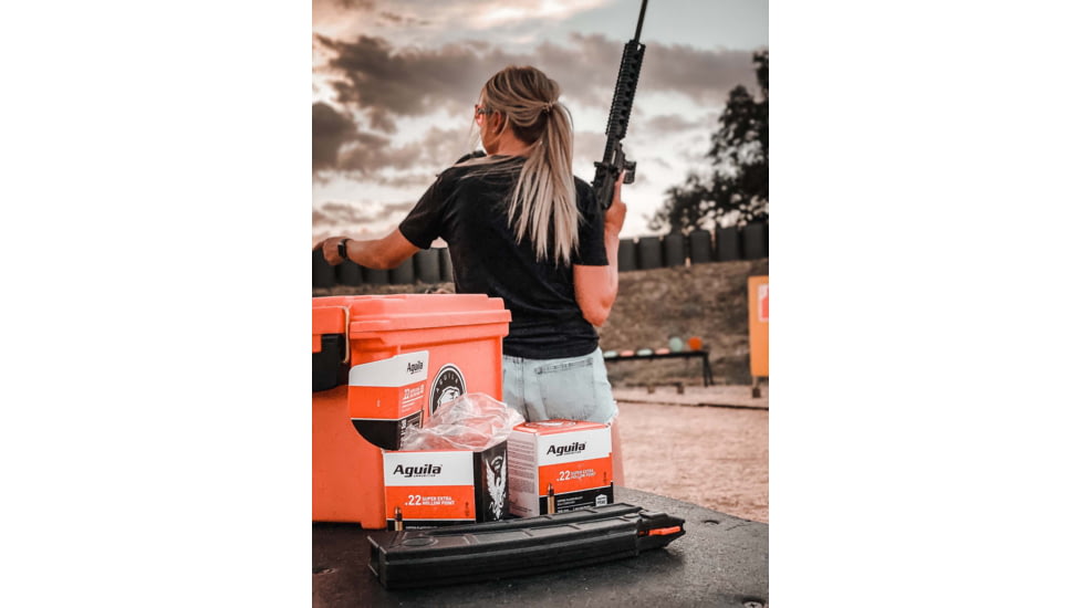 Aguila Ammunition 22LR 38 Grain Copper Plated Hollow Point, Brass Case, Ammo, 250 Rounds, 1B221103