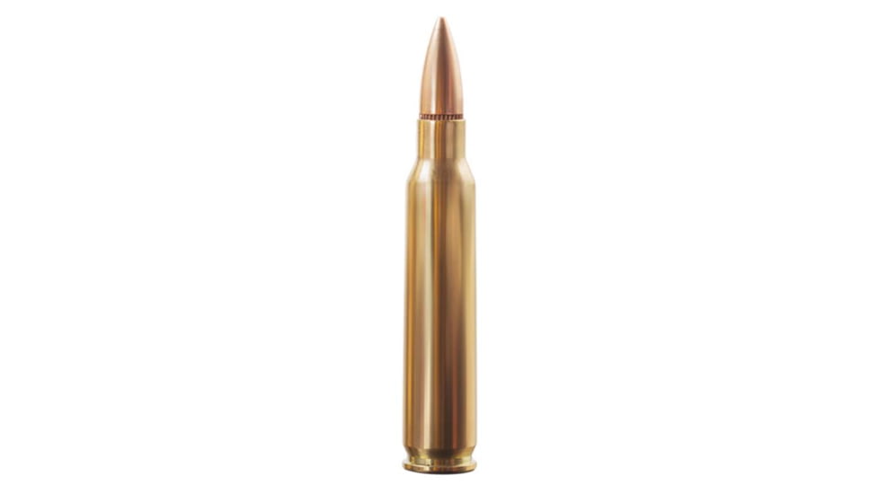 Aguila Ammunition 5.56x45mm NATO Ammo 55 Grain FMJ Brass Case Rifle Ammo, 450 Rounds, 1E556155-BP