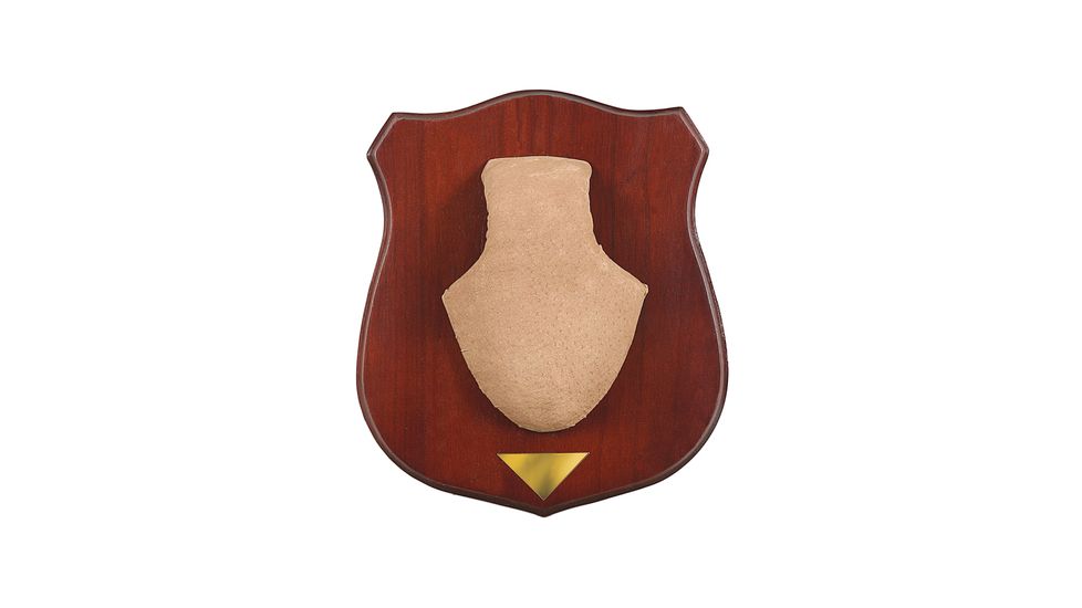 Allen Deluxe Horn Mounting Kit With 2 Skull Covers