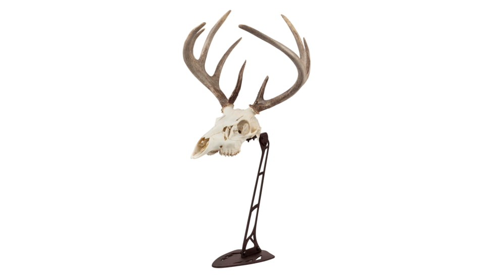 Allen EZ Mount Centerpiece Skull Stand, Brown, 7226