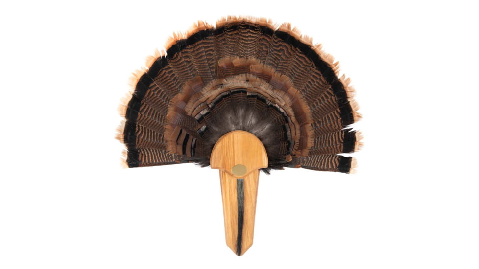 Allen EZ Mount Exhibition Turkey Tail Kit WD, 7220