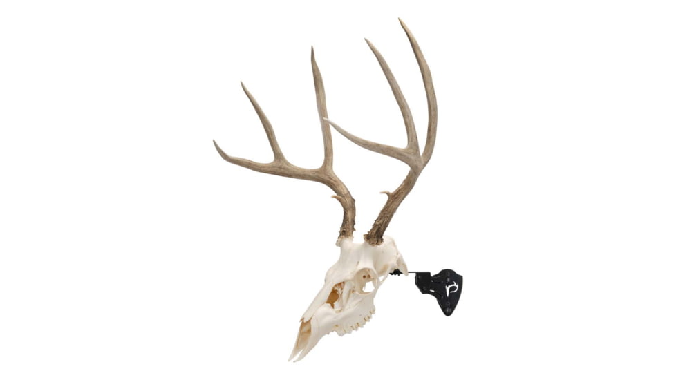 Allen EZ Mount Skull Stand Deer Size, 7203