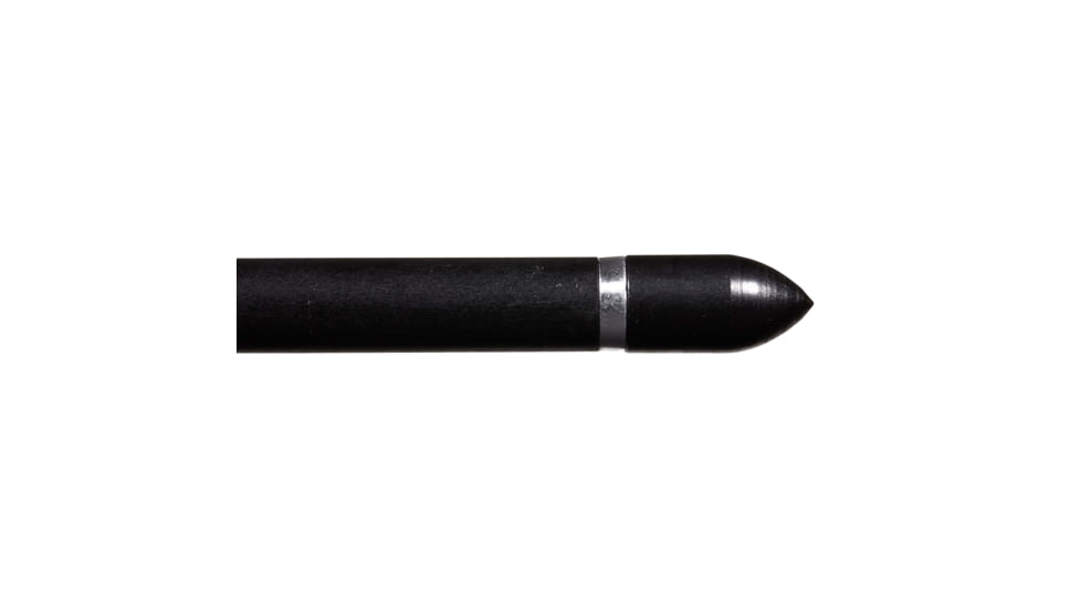 Allen Titan Bullet Point, 100 Grain, Black, 5/16in, 1460