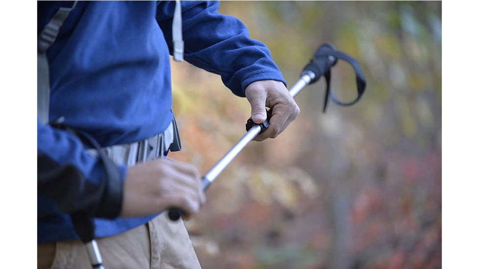ALPS Mountaineering Journey Trekking Pole