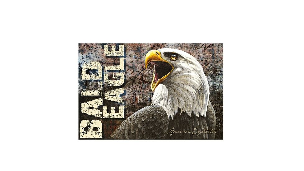 American Expedition Bald Eagle Graphic Canvas Art, 15.7in x 23.6in x 1.12in 4001022