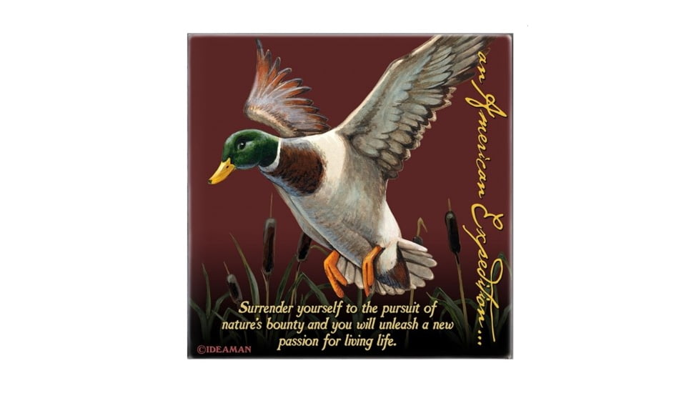 American Expedition Square Coaster, Mallard 602155