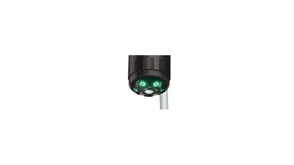 American Hunter Swine Shine Hog  Light, AH-HOGLITE