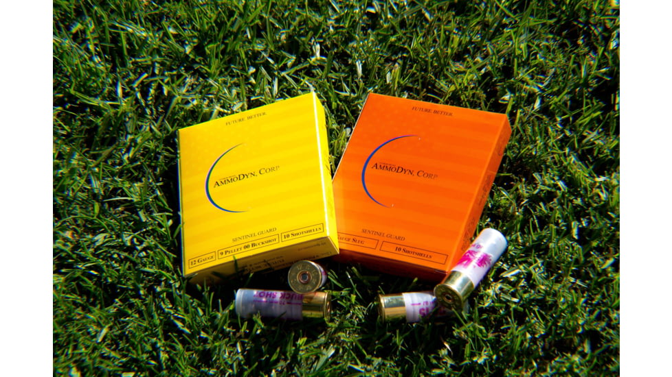 12 Gauge 9 Pellet 2.75in Buckshot Shotgun Ammo, 10 Rounds