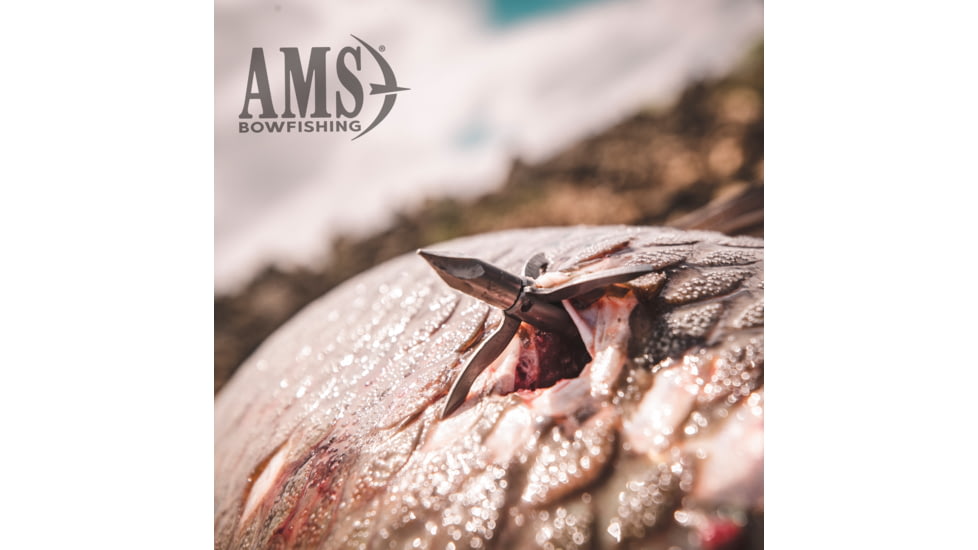 AMS AnKor FX Bowfishing Arrow