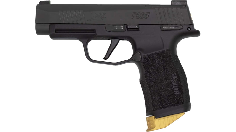 Anarchy Outdoors Pinky Rest for Sig 365 XL, Gold, 791617481473