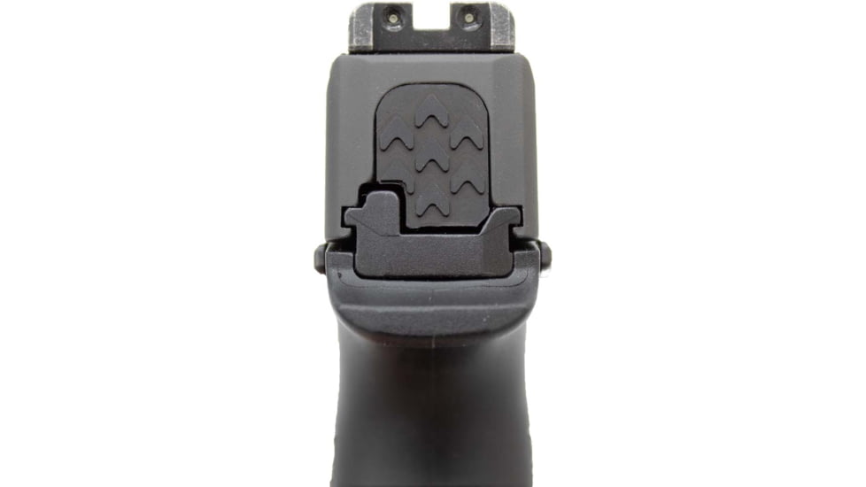 Anarchy Outdoors Slide Plate for Sig 365, Black, 791617481497