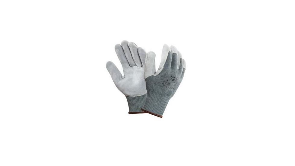 Ansell Healthcare Glove 70-765 SZ10 PK12PR 245716, Package