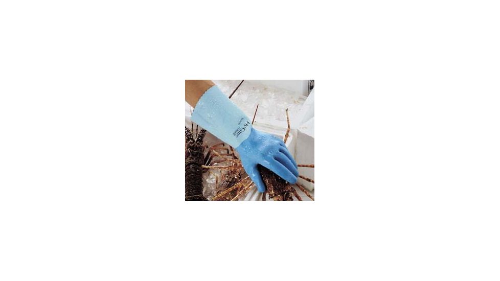 Ansell Healthcare Glove Latex 62-400 8 PK12 285652