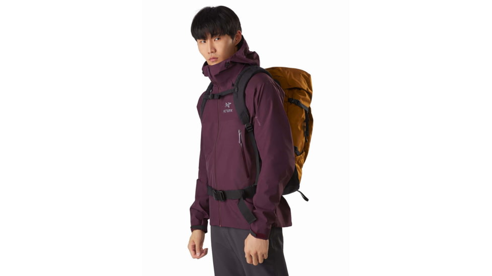 Arcteryx Beta SL Hybrid Jacket - Mens, Rhapsody, Extra Small, 434498