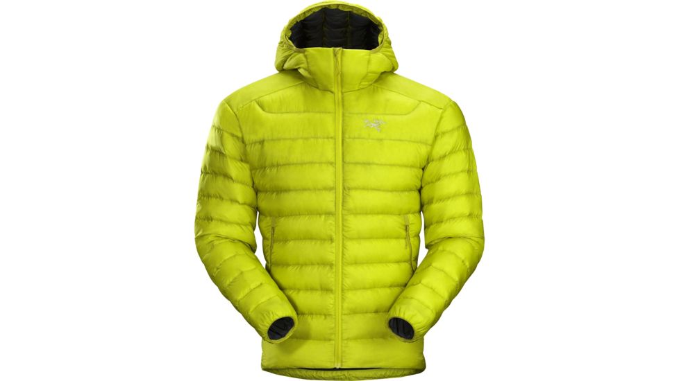 Arc'teryx Cerium LT Hoody - Men's, Lichen, Large, 352759