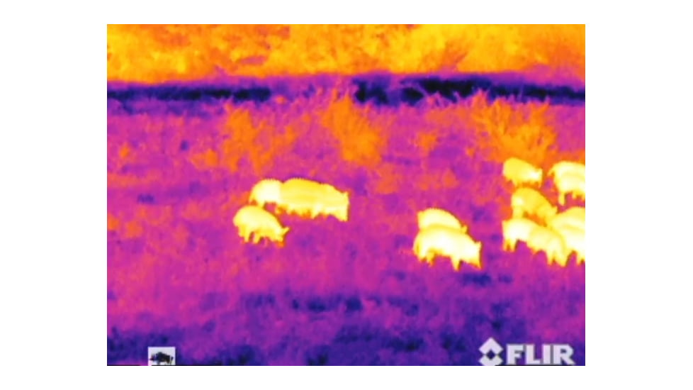 Armasight Apollo Thermal Imaging Clip-On System 19mm Lens,160x120 Core 60 Hz TAT216CN1APOL01