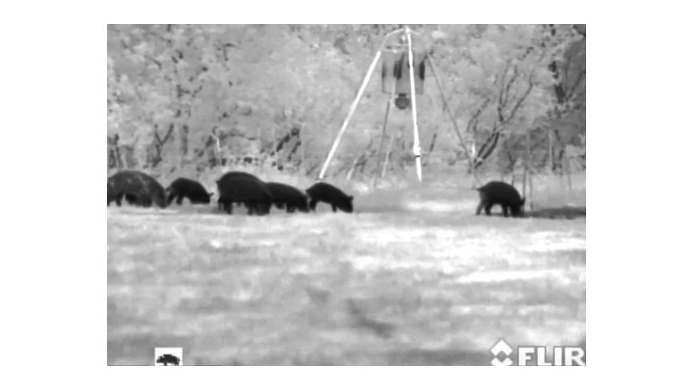 Armasight Command/Pro 336 3-12x42, 30Hz Thermal Imaging Bi-Ocular, FLIR Tau 2 - 336x256 30Hz Core 17 micron, 42mm Lens TAT173BN4HELI31