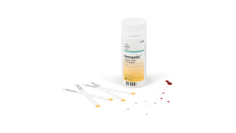 Armor Forensics Hemastix - Bottle Of 50 Ea - 7813