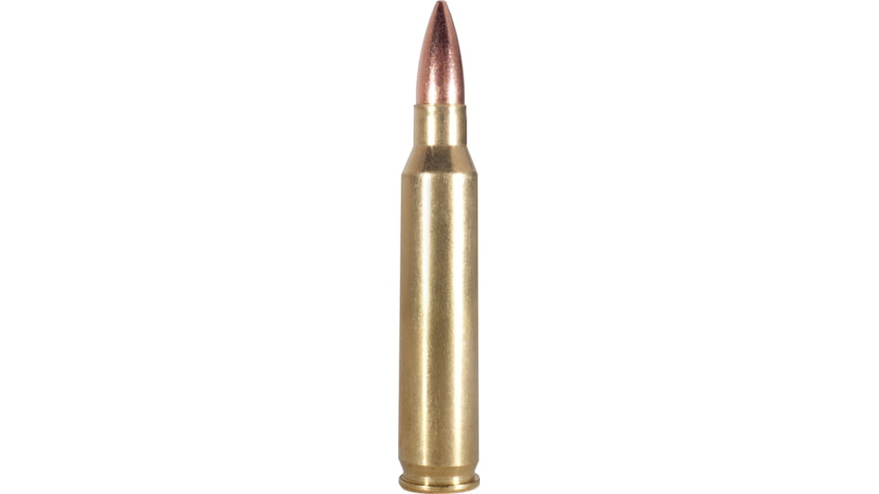 Armscor Precision Inc USA .223 Remington 62 Grain Full Metal Jacket Brass Cased Rifle Ammo, 20 Rounds, FAC223-8N-20RD