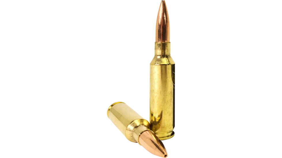 Armscor Precision Inc USA 6.5mm Creedmoor 123 Grain Hollow Point Boat Tail Brass Cased Rifle Ammo, 20 Rounds, FAC65C-1N-20RD