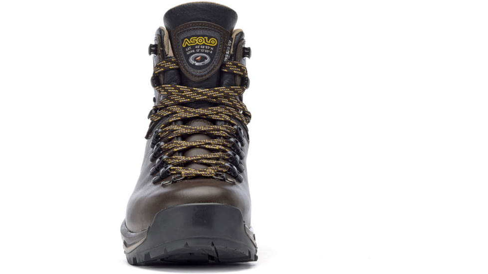 Asolo TPS 520 GV Evo Hiking Boots - Mens, Chestnut, 10.5US, B11012-A635-105