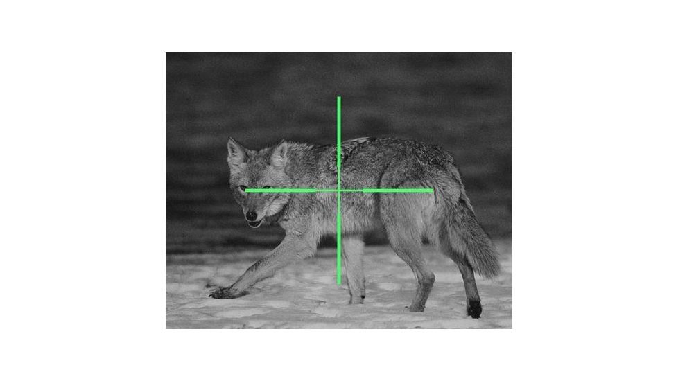 ATN ARES4x-WPT Nightvision Weapon Sight NVWSARS4WP