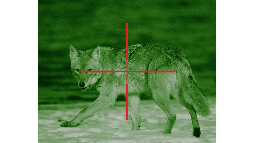 ATN ARES6x-WPT Nightvision Weapon Scope NVWSARS6WP
