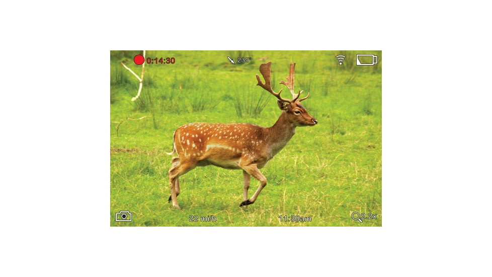 ATN BinoX-HD 4x Smart Day and Night Binocular DGBNBNHDX1