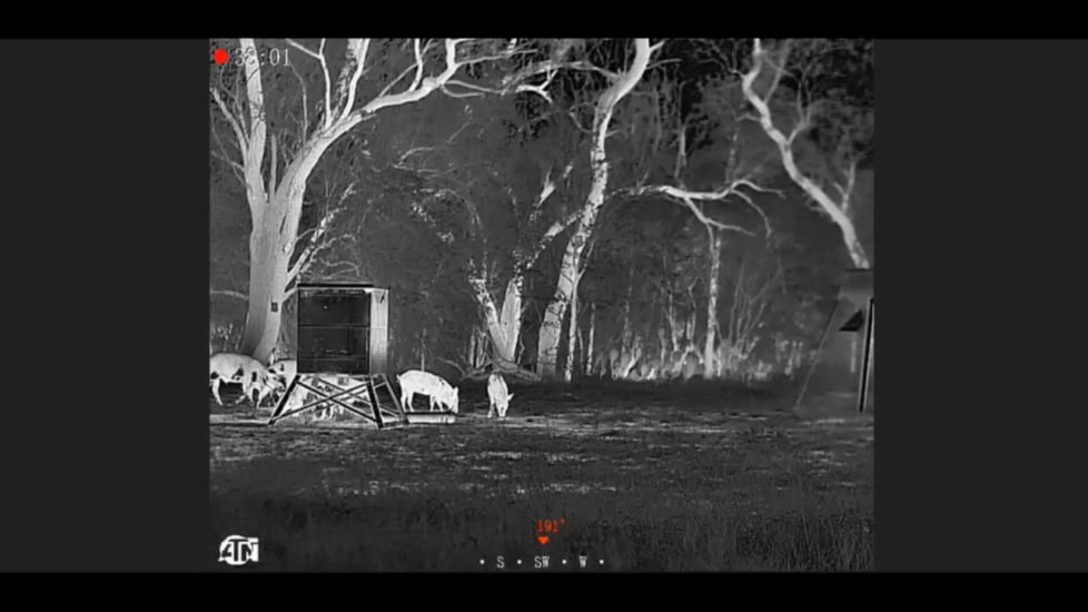 ATN BlazeSeeker-210 1.5x - 12x Thermal Imaging Monocular 12 Micron, 256x192, Black, TIMNBLS210