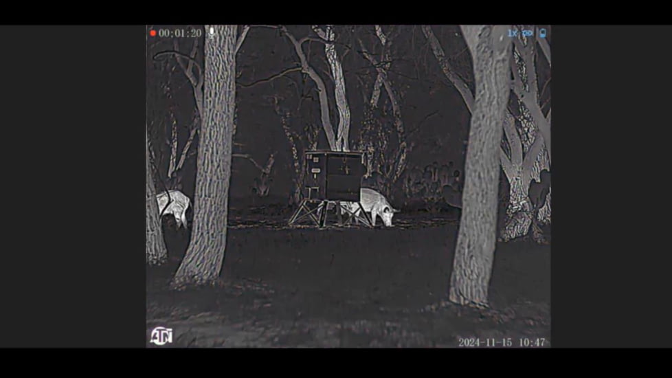 ATN BlazeTrek-619 1.25x - 10x Thermal Imaging Monocular 12 Micron, 640x512, Black, TIMNBLT619