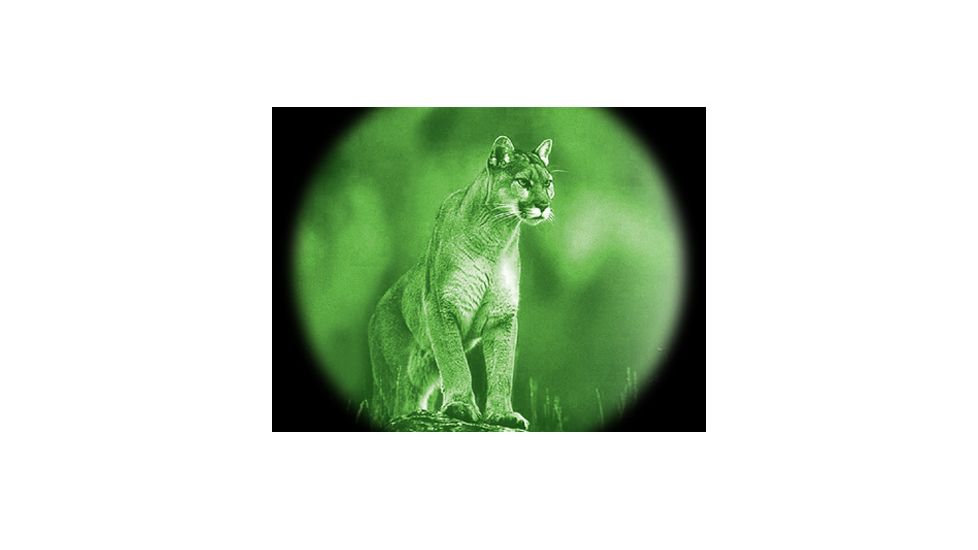 ATN Night Cougar LT Night Vision Goggles NVGONCLT10