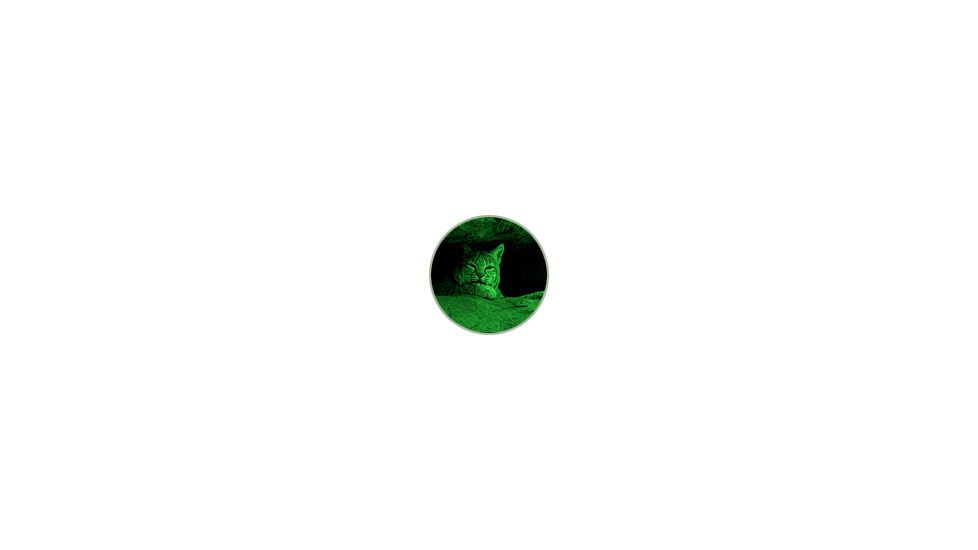 ATN Night Shadow II Generation Night Vision Device, Image
