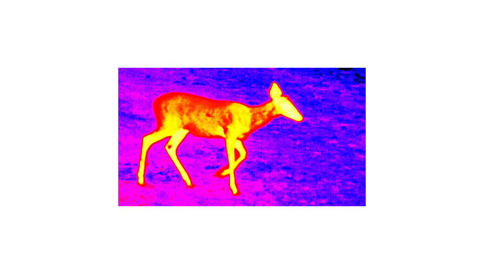 ATN OTS 4T, 1-10x, 640x480, Thermal Viewer w/ Full HD Video rec, WiFi, Smooth zoom, iOS/Android Controlling App, Black, TIMNO4641A