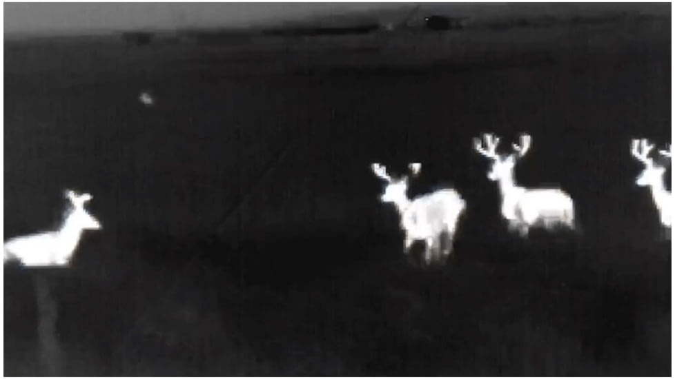 ATN OTS 4T, 4.5-18x, 384x288, Thermal Viewer w/ Full HD Video rec, WiFi, Smooth zoom, iOS/Android Controlling App, Black, TIMNO4384A