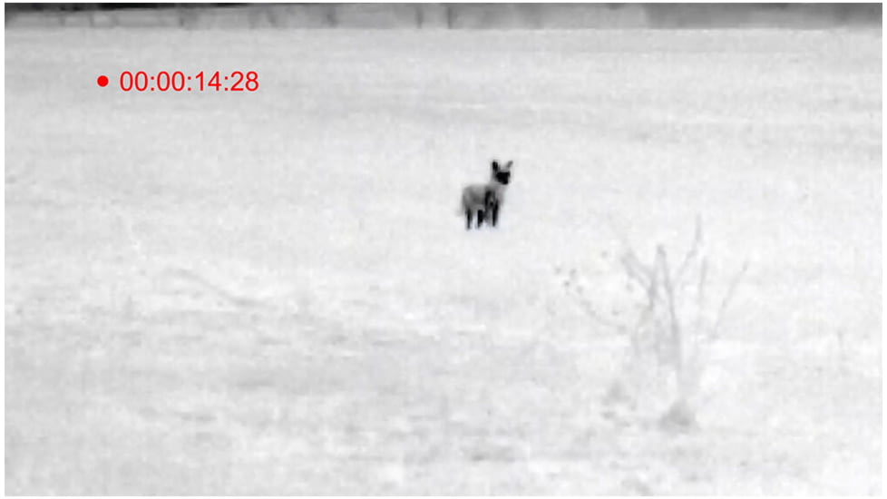 ATN OTS 4T, 4.5-18x, 384x288, Thermal Viewer w/ Full HD Video rec, WiFi, Smooth zoom, iOS/Android Controlling App, Black, TIMNO4384A