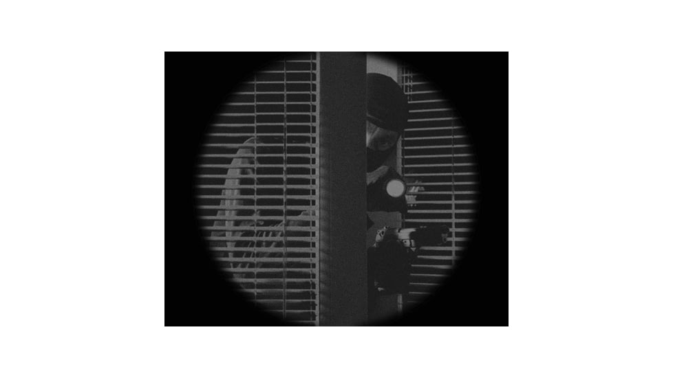 ATN PS31-4 1x18mm Night Vision Goggle, G4, Auto-Gated/filmless, Black, NVGOPS3140