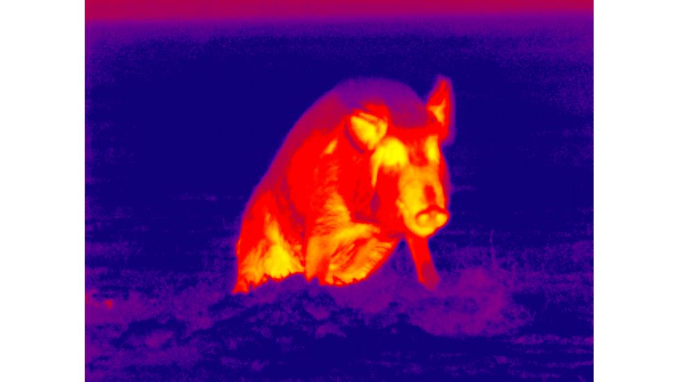 DEMO ATN Thor 320 3x Enhanced Thermal Imaging Weapon Sight TIWSMT323D-DEMO