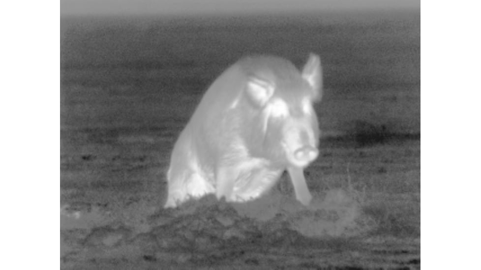 DEMO ATN ThOR 320 4.5x Enhanced Thermal Imaging Weapon Sight TIWSMT324A-DEMO