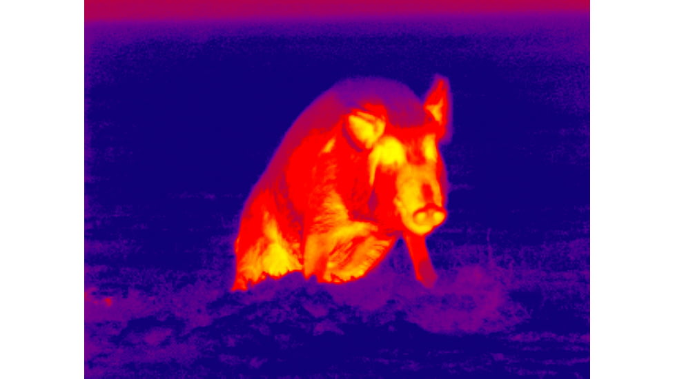 DEMO ATN ThOR 320 4.5x Enhanced Thermal Imaging Weapon Sight TIWSMT324A-DEMO