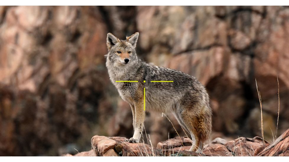 DEMO, ATN X-Sight 4K Buckhunter Daytime Rifle Scope, 5-20x70mm, 30mm Tube, First Focal Plane, Multiple Reticles, DGWSXS5204KB