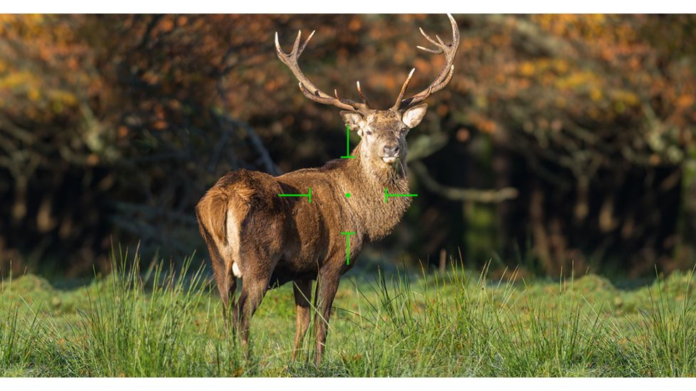 DEMO, ATN X-Sight 4K Buckhunter Daytime Rifle Scope, 5-20x70mm, 30mm Tube, First Focal Plane, Multiple Reticles, DGWSXS5204KB