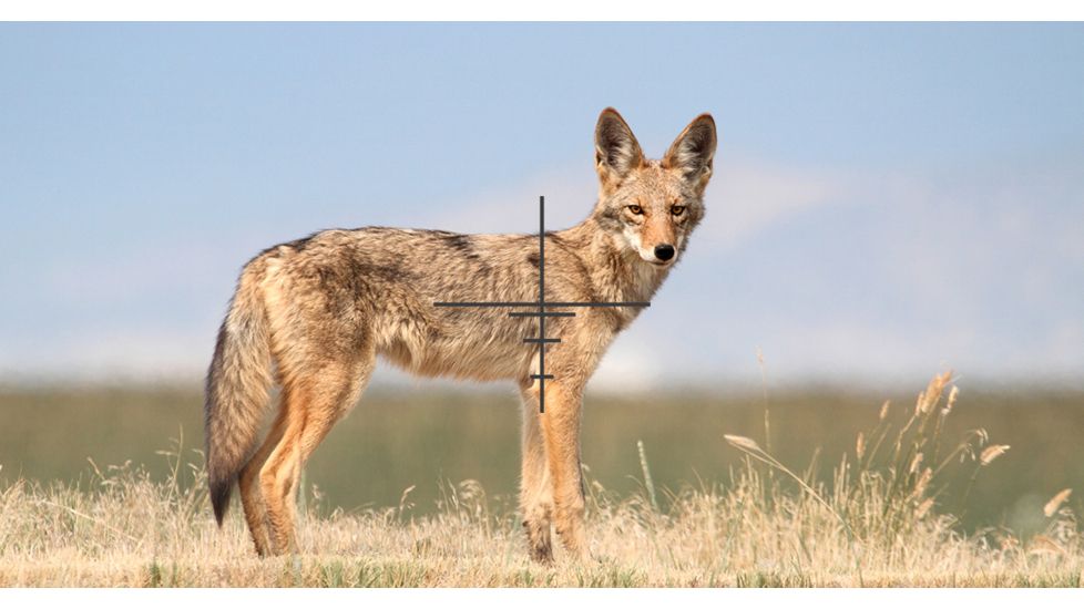 DEMO, ATN X-Sight 4K Buckhunter Daytime Rifle Scope, 5-20x70mm, 30mm Tube, First Focal Plane, Multiple Reticles, DGWSXS5204KB