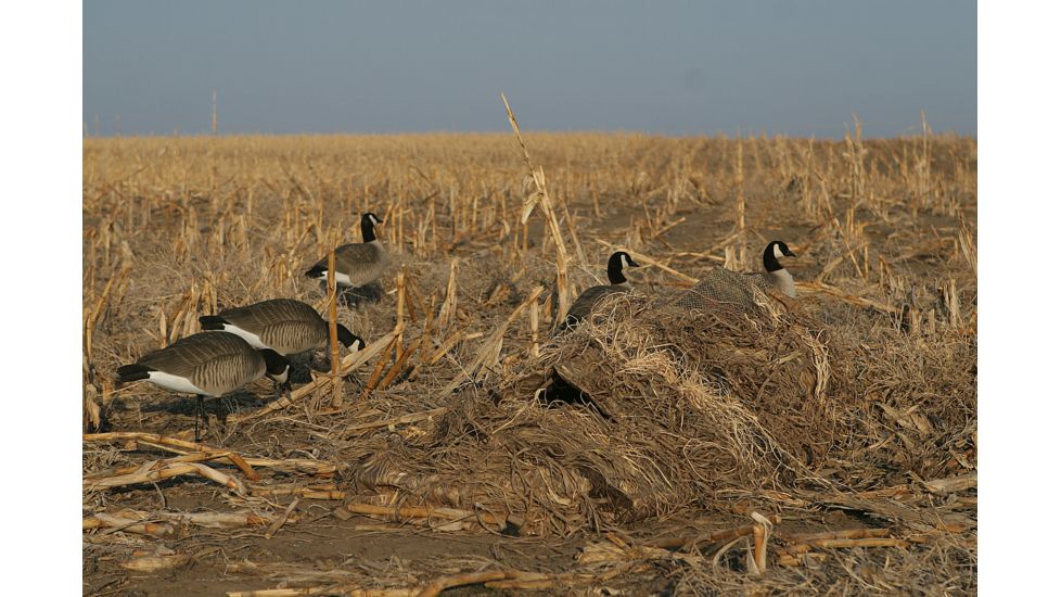 Avery Outdoors KillerWeed Layout Blind Kit,All Terrain 47303