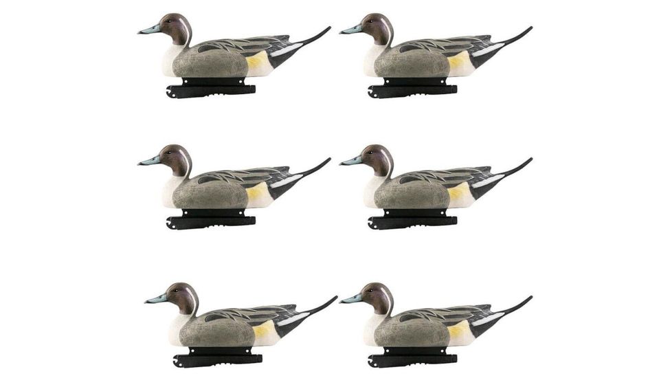 Avery Outdoors Life-Size Pintails, Drake, 1/2 dozen, Realistic Postures, 73050