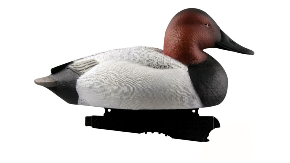 Avery Outdoors Over-Size Canvasbacks, 1/2 dozen, Realistic Postures, 77140