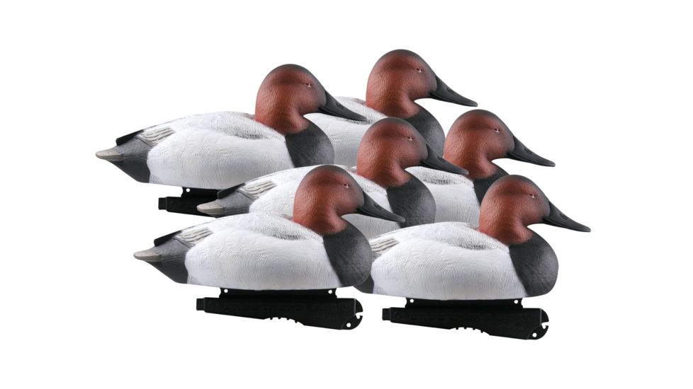 Avery Outdoors Over-Size Canvasbacks, 1/2 dozen, Realistic Postures, 77140