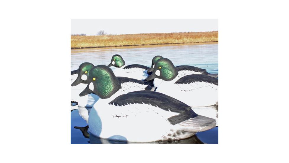 Avery Outdoors Over-Size Goldeneyes, 1/2 dozen, Realistic Postures, 77143