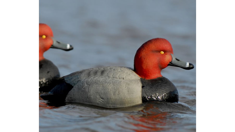 Avery Outdoors Over-Size Redheads, 1/2 dozen, Realistic Postures, 77141